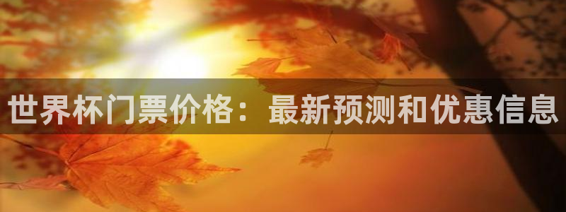 世界杯时间：世界杯门票价格：最新预测和优惠信息