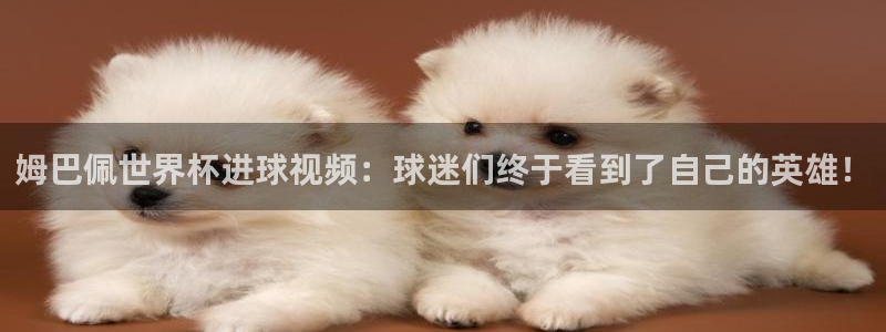 26世界杯：姆巴佩世界杯进球视频：球迷们终于看到了自己的英雄！