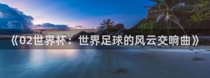 26世界杯：《02世界杯：世界足球的风云交响曲》