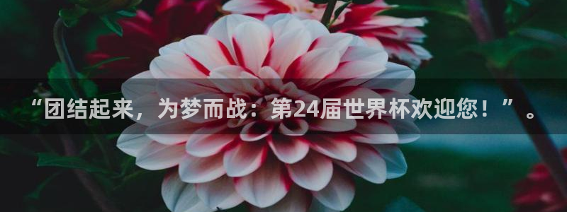 足球比分直播世界杯:“团结起来,为梦而战:第24届世界杯欢迎您!”。