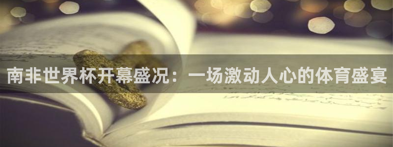 2026 世界杯：南非世界杯开幕盛况：一场激动人心的体育盛宴