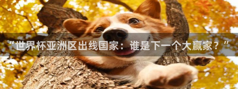 世界杯球赛：“世界杯亚洲区出线国家：谁是下一个大赢家？”