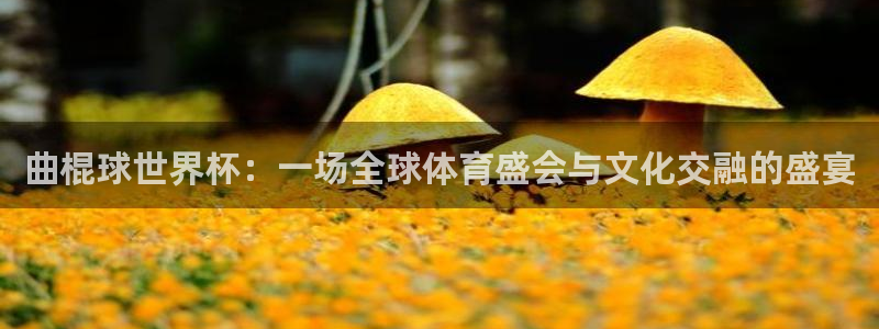 世界杯预选赛亚洲区积分榜：曲棍球世界杯：一场全球体育盛会与文化交融的盛宴