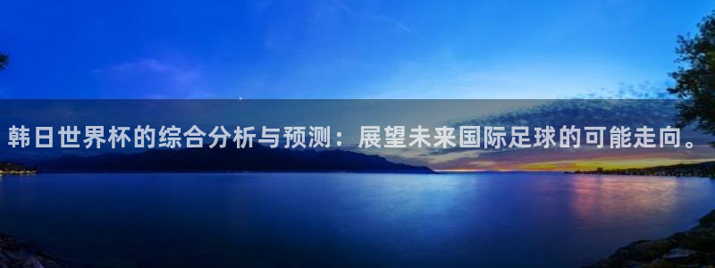 欧洲区世界杯预选赛：韩日世界杯的综合分析与预测：展望未来国际足球的可能走向。