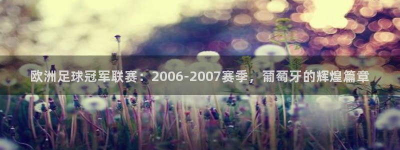 2026男足世界杯：欧洲足球冠军联赛：2006-2007赛季，葡萄牙的辉煌篇章