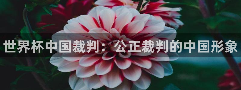 世界杯决赛直播：世界杯中国裁判：公正裁判的中国形象