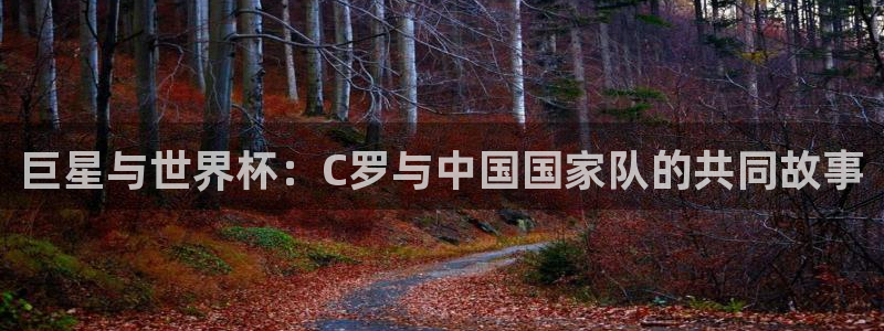 世界杯欧洲区预选赛赛程：巨星与世界杯：C罗与中国国家队的共同故事