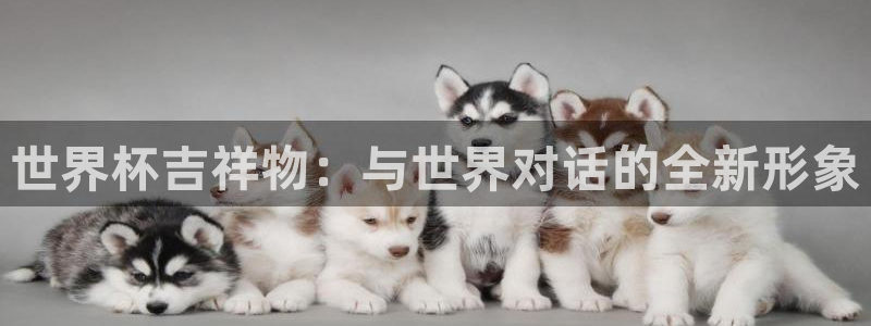 2026世界杯预选赛：世界杯吉祥物：与世界对话的全新形象