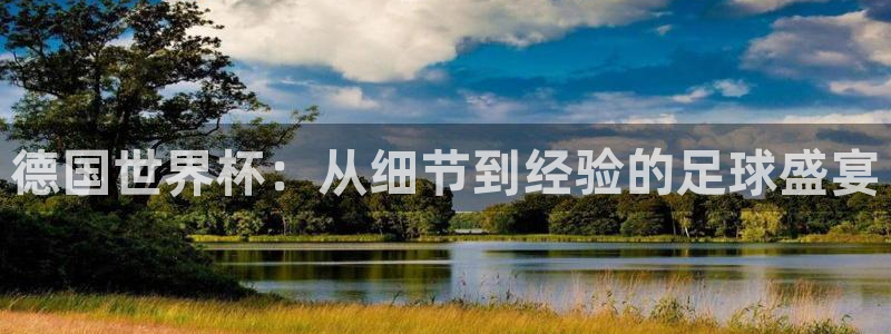 世界杯在线直播入口：德国世界杯：从细节到经验的足球盛宴